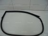 Ferrari 599 GTB F141 RH right door seal